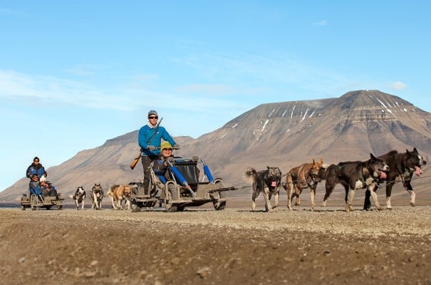 Dog sledding on wheels in Svalbard