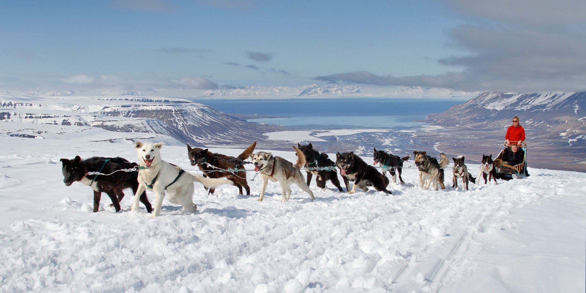Enjoy dogsledding through Svalbard’s magnificent landscape
