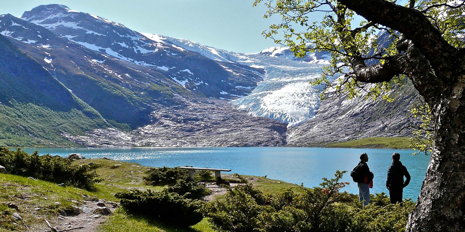 Svartisen Glacier across the lake