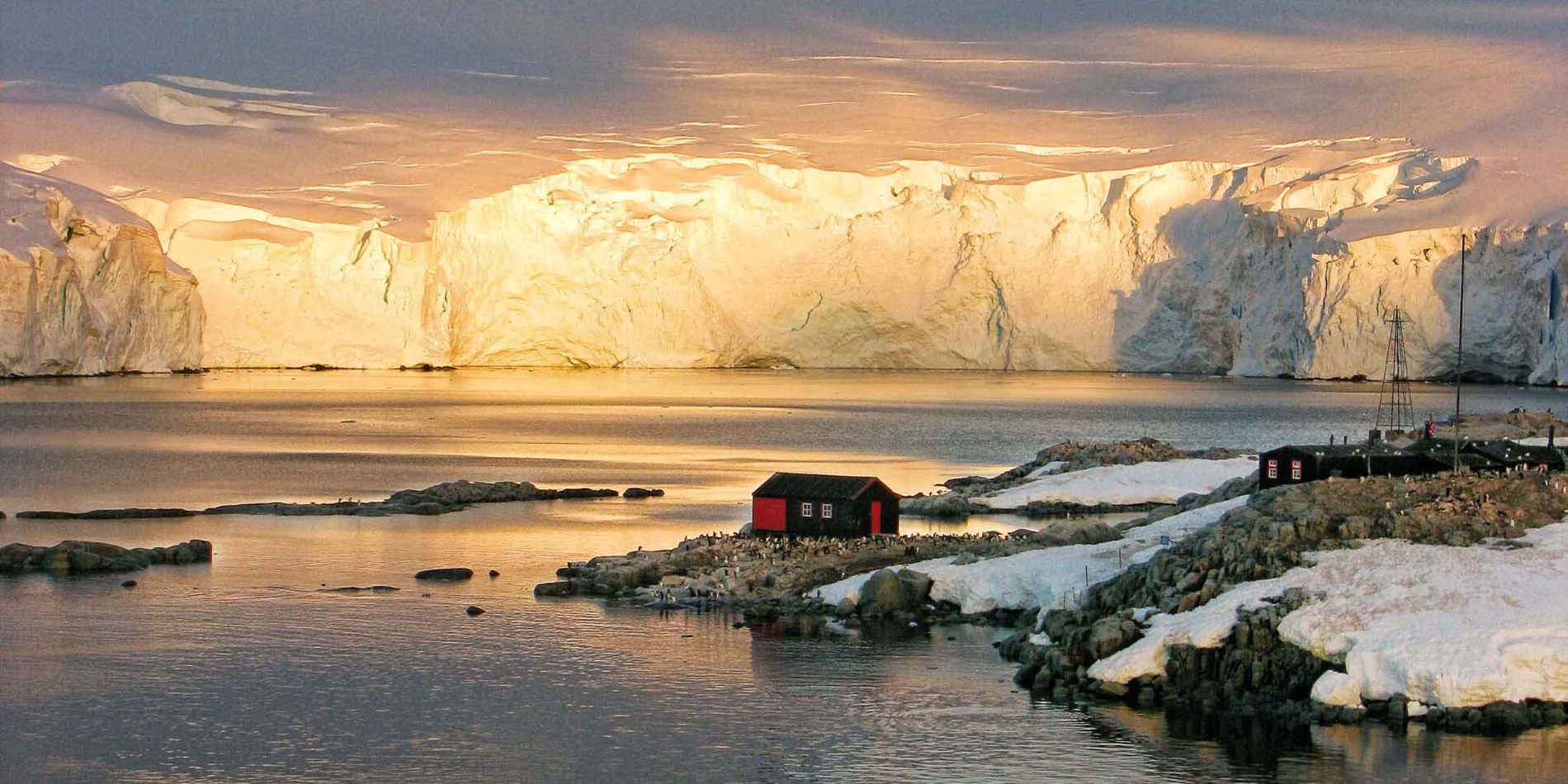 Enjoy close encounters with the wildlife and glaciers, old whaling stations and relics