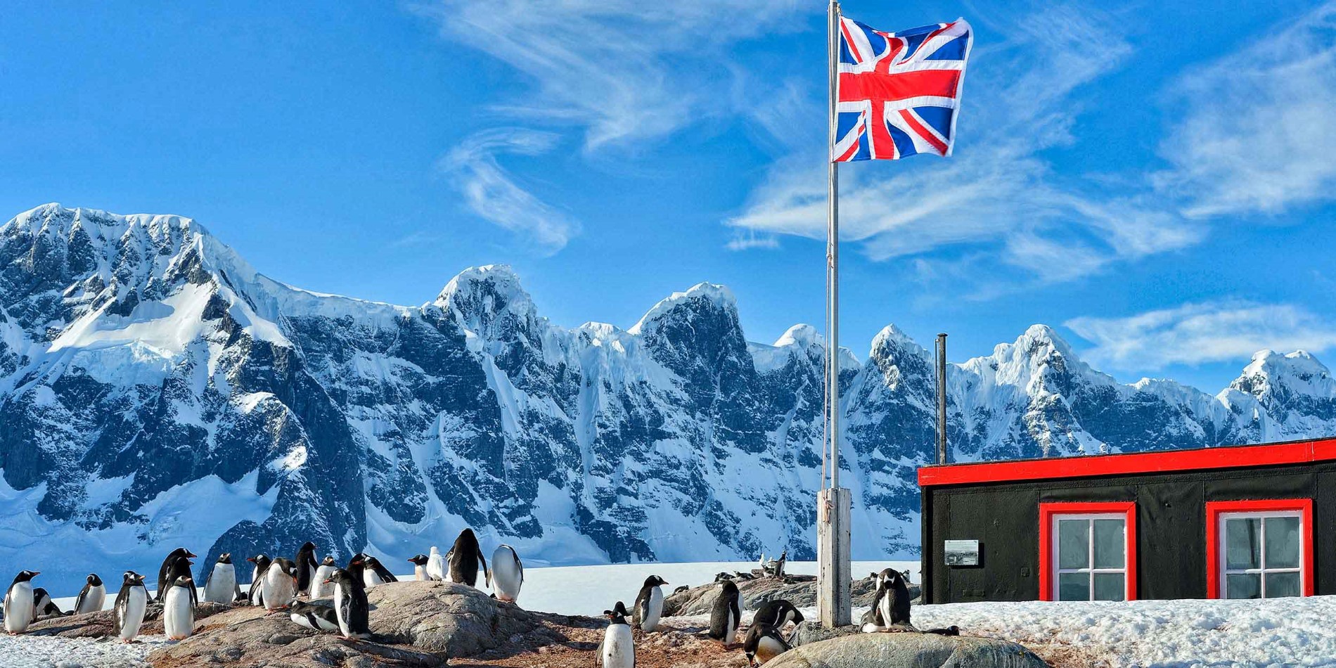 Get up close to wildlife in Antarctica